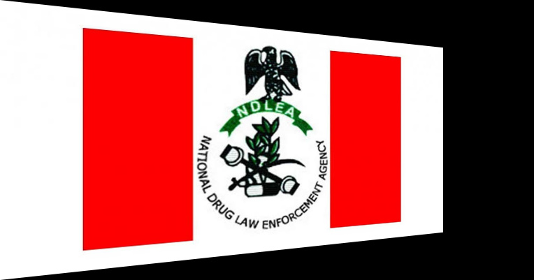 NDLEA Recruitment Application Portal