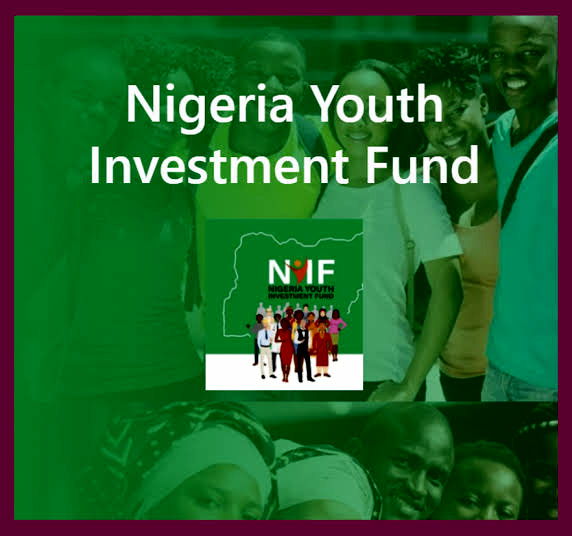Nigerian Youth Investment Funds (NYIF) 2021/2022 - Apply Now