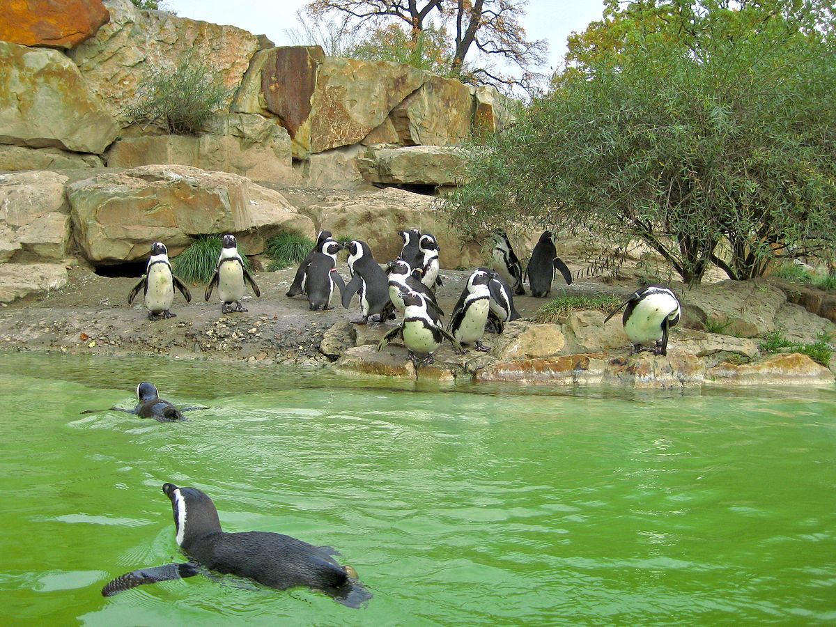 best zoos in the world