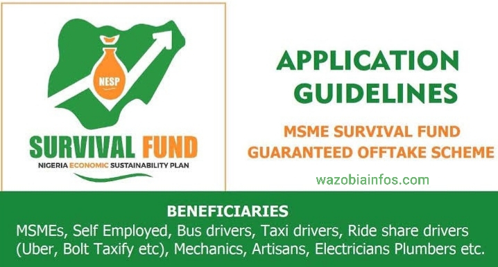 Survival Fund Application