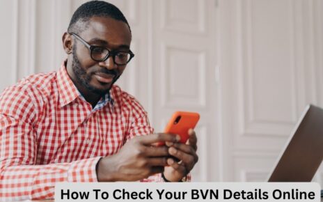 How To Check Your BVN Details Online
