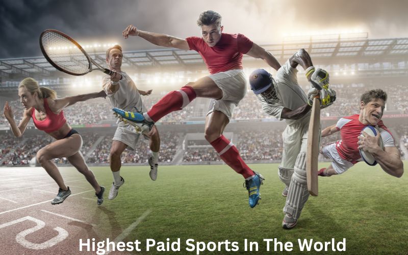 Highest Paid Sports In The World