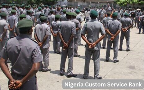 Nigeria Custom Service Rank