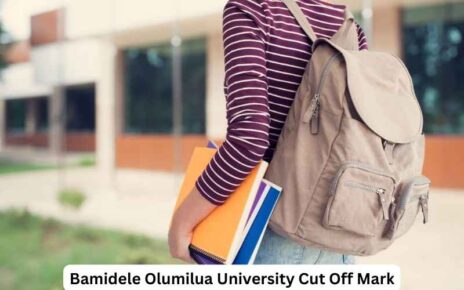 Bamidele Olumilua University Cut Off Mark
