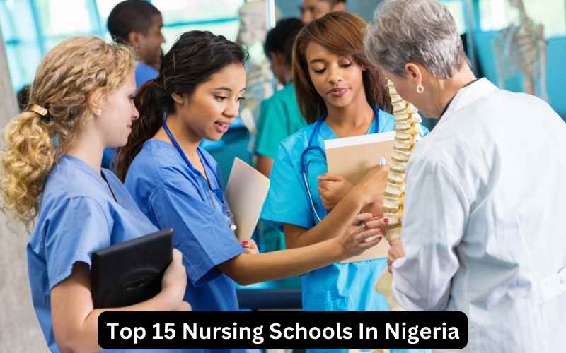 Nursing Schools In Nigeria