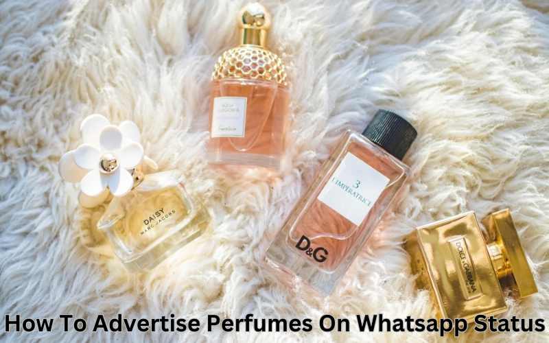 How To Advertise Perfumes On Whatsapp Status
